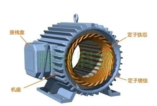 电机,绕组,定子,磁场,同步电动机,电动机