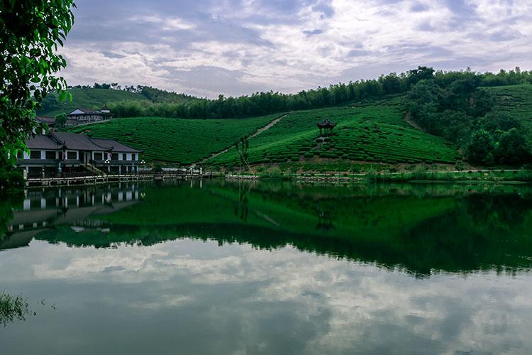 世外桃源——宜兴西渚镇白塔村横塘