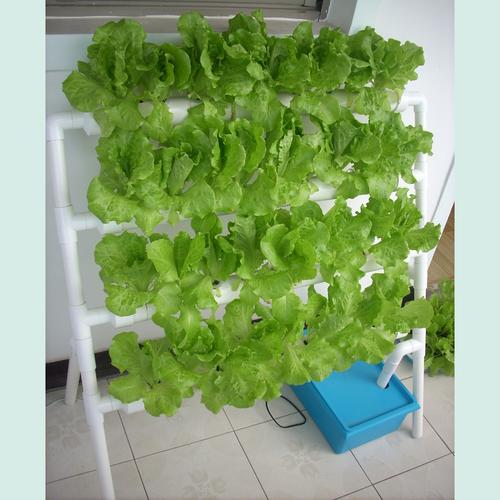 立体花架 阳台管道式无土栽培种菜神器 水培自动浇灌蔬菜种植机