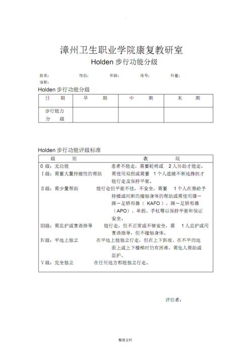 holden步行功能分级[1].pdf 1页
