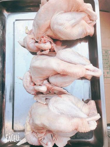 品种名:白条鸡 品种名:白条鸡 货品类别:新鲜 真空包装:是