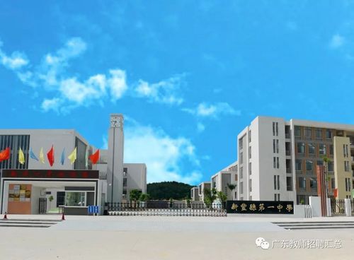 急招11人!新丰县第一中学招聘教师公告