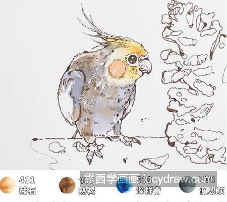 玄凤鹦鹉怎么画?详细的绘画教程是什么?