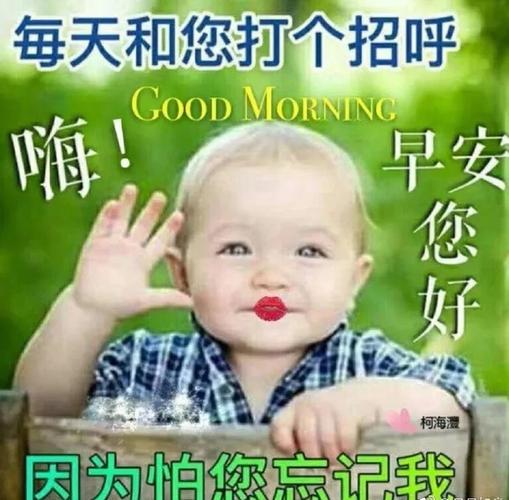 非常漂亮的夏季早安可爱宝宝祝福图片 微信温馨的早上好问候语发朋友