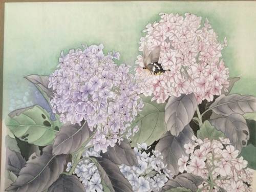国画 绣球花