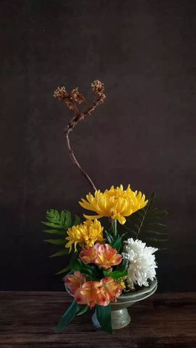 插花,菊花,花材,蜡梅