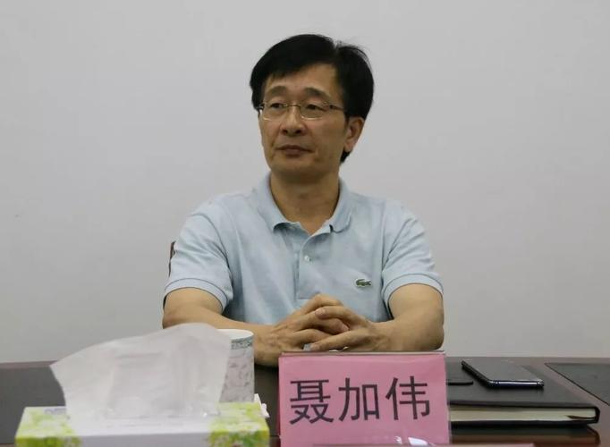鹤山市委副书记,市长聂加伟调研龙口镇重点工作