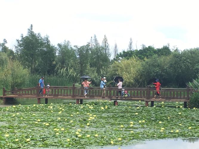 昆明宝丰湿地公园