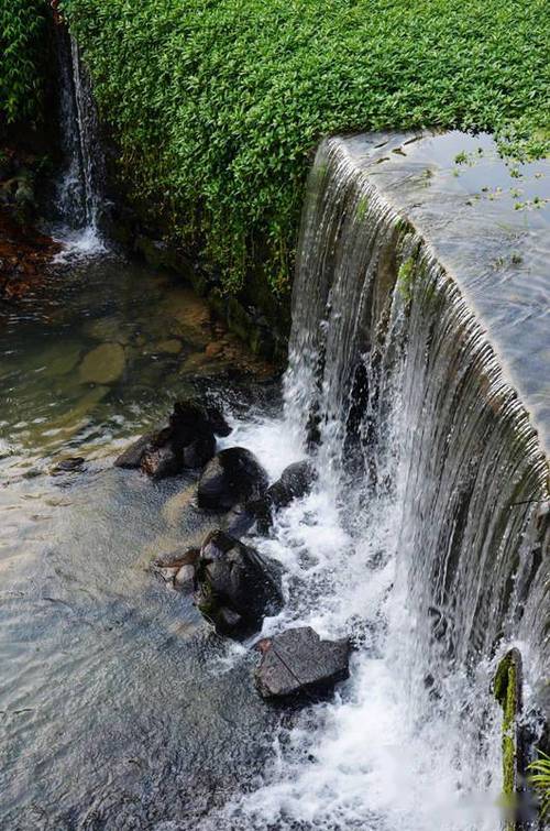 生态大坪,不一样的景色
