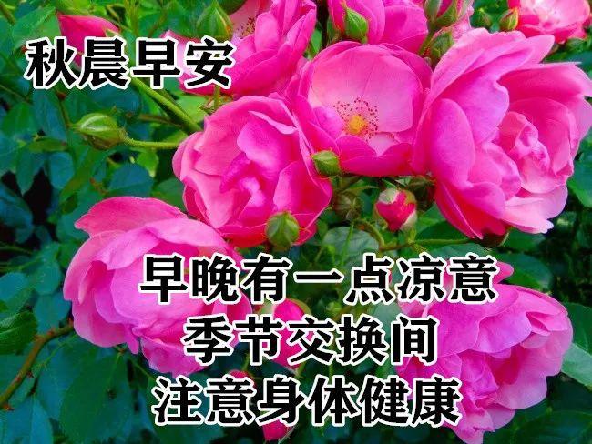 10月7日早上好动态表情图片大全早晨好动图美图大全