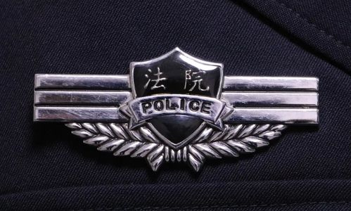不,法院还有司法警察.简称"法警",是在人民法院中执行特定任务的警察.