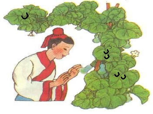 最新2017-2018冀教版二年级语文上册《我要的是葫芦》