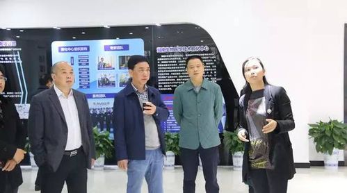 开福区人大常委会副主任王颂交开福区副区长周桂林一行莅临园区调研
