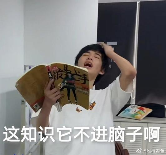 求33背书表情包