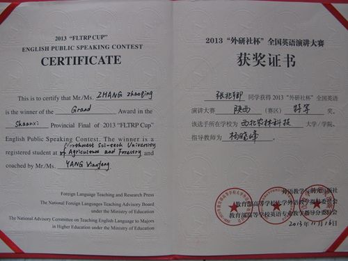             获奖荣誉证书