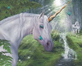 幻想动物,独角兽,,奇幻作品壁纸,照片,下载