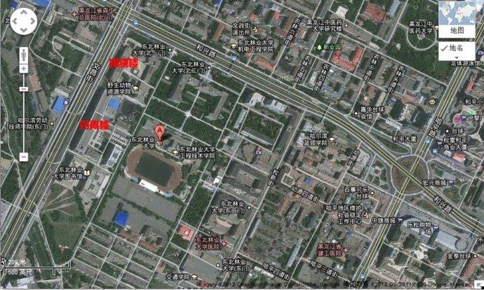 制作人:虎哥团队面试名师尚云天(网名:灰太狼)  东北林业大学考点