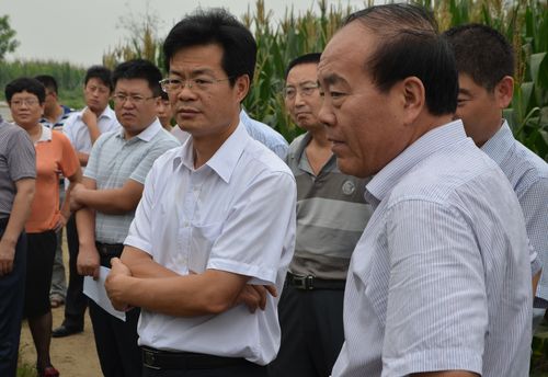 市委常委,副市长颜波到我县调研指导粮食工作