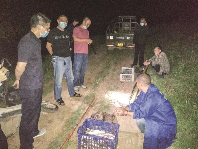 嫌疑人牵着狗打着手电过来了民警蹲守芦苇荡4小时抓获捕鱼者