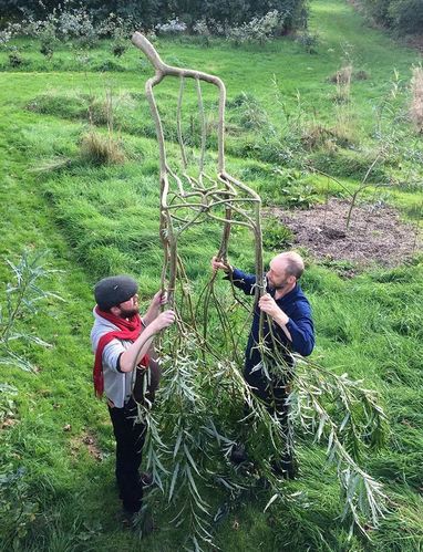 让一棵树长成一把椅子!
