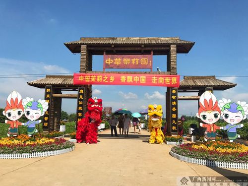 高清组图2017年中国横县茉莉花文化节开幕