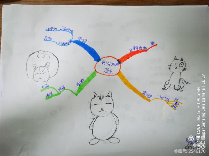 描写动物思维导图