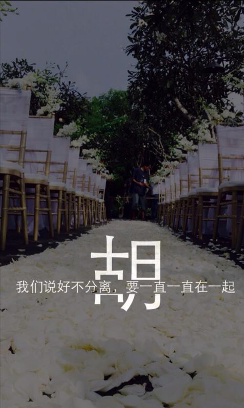 我姓胡 - 堆糖,美图壁纸兴趣社区