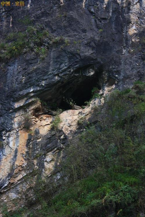 长江三峡;; 有名的三峡悬棺