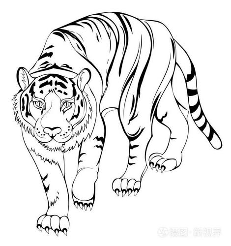 风格化的老虎. 彩色书的黑白页.