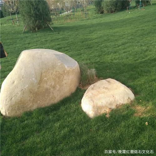 草坪石 景观置石使园林绿化更加生动