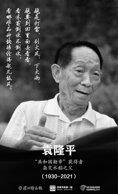 要闻 5月22日13时07分 中国工程院院士, "共和国勋章"获得者袁隆平 在