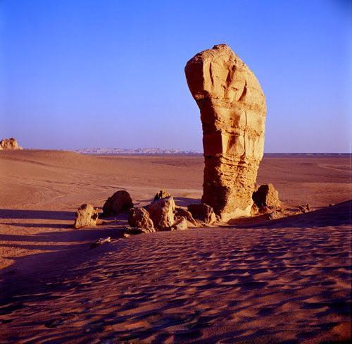 伊州区 标签: 旅游景点 公园  哈密雅丹地貌生态公园共多少人浏览