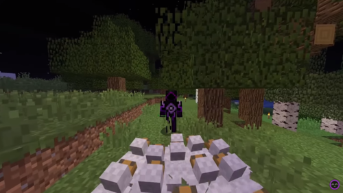 我的世界:末影人能拿起土块,僵尸能拿起种子,但之后种子会变质