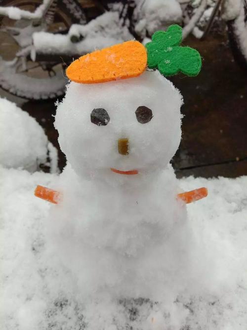 今年的取暖神器就不送了,送你光中网友手捏可爱小雪人一枚