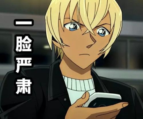 安室透表情包一套鸭