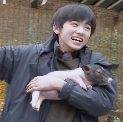 宋亚轩荧屏初吻贡献给宠物,足以证明很宠它,令粉丝无比羡慕