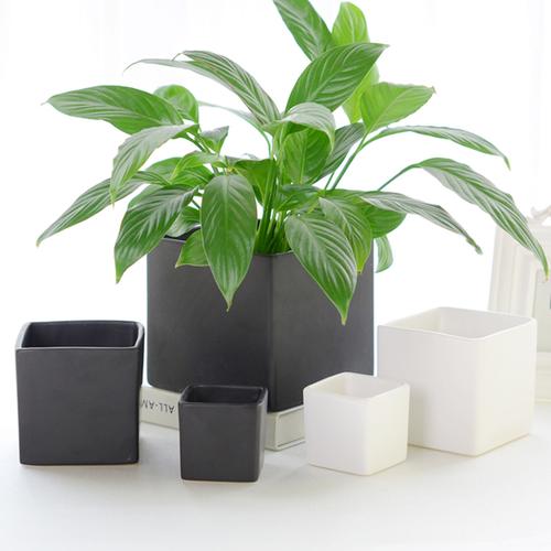 三木园艺简约北欧哑光花盆方形陶瓷花盆黑白色绿萝花盆客厅装饰工艺品