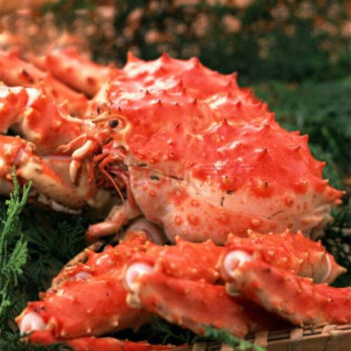 沙沫 冷冻帝王蟹 一只 约4kg 生冻海鲜大螃蟹 鲜活急冻皇帝蟹