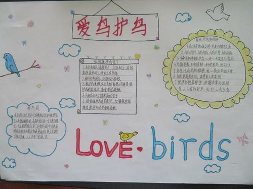 爱鸟护鸟从我做起——海口市秀英区长德学校