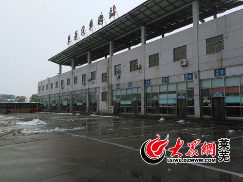 原创稿库 莱芜                受天气影响,莱芜长途汽车站发车区多