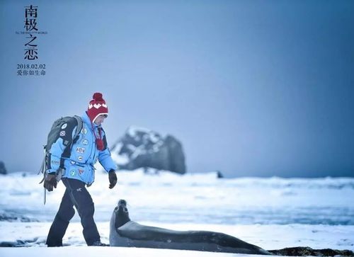【佳·资讯】冒险爱情电影《南极之恋》将于2月2日