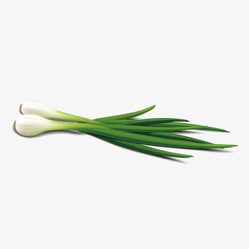 新鲜绿色小葱免抠素材免费下载_觅元素51yuansu.com