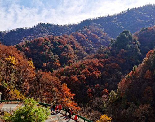 动态 陕西 宝鸡 黄柏塬原生态风景区 秦岭赏秋必去景点--黄柏塬_黄柏
