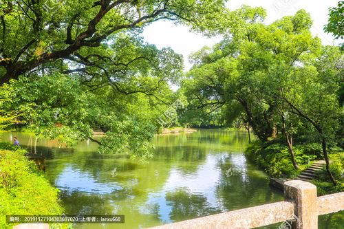 西溪湿地唯美风景 西溪湿地园林建筑 江南水乡风景画 杭州西溪湿地