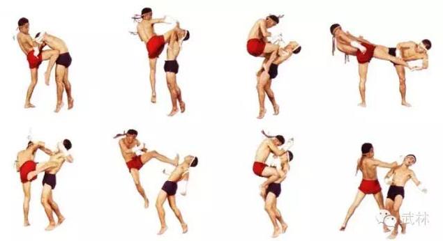 转载网盘领取全套职业泰拳的技术教学与功力训练视频电子文档