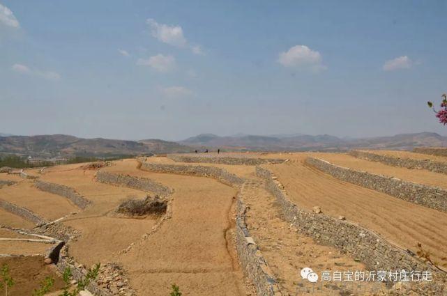席架子顶记游——沂南县马牧池乡山地闲逛