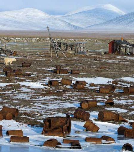 探访俄弗兰格尔岛:世界最后猛犸栖息地(组图)