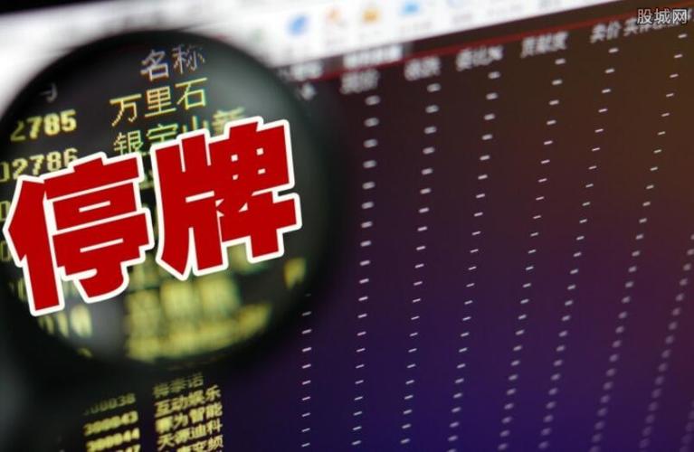 停牌新规提前曝光 被称为史上最严的停复牌新规