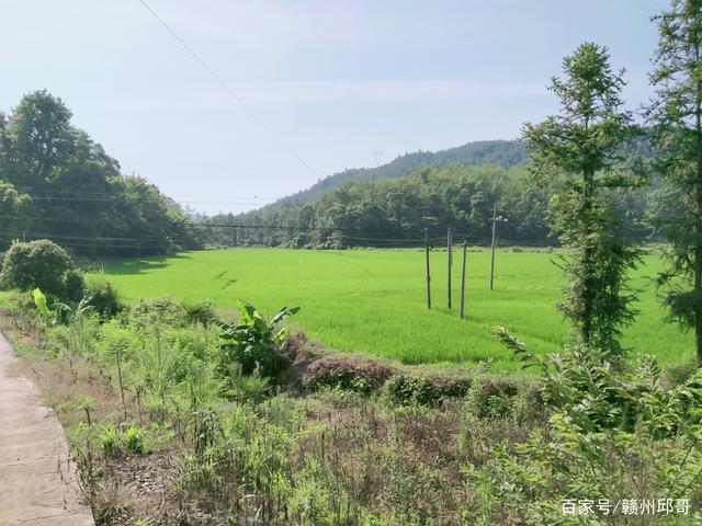 江西省赣州市赣县沙地镇全镇风景最美的村庄!看看是不是你们村?