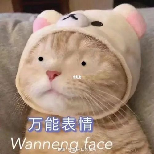 轻而易举的心态崩了_表情包_素材